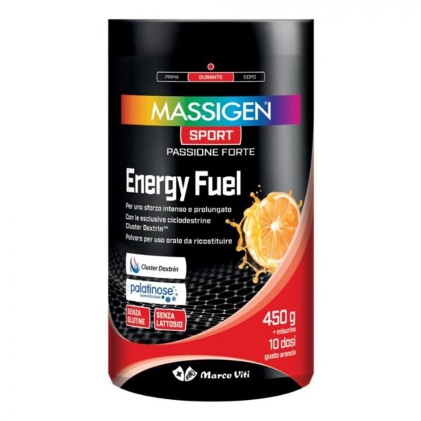 MASSIGEN ENERGY FUEL 450 g