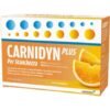CARNIDYN PLUS 20 BUSTE gusto Arancia